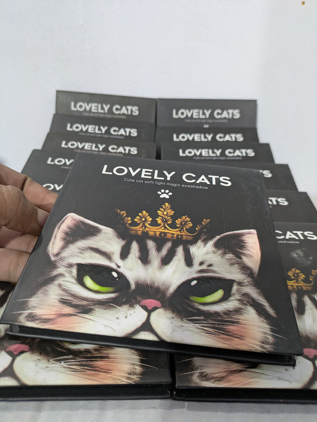 Lovely Cat Eye Kit LC-01